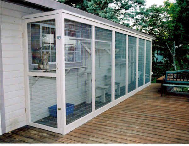 Cat Outside Enclosure Very Simple Elegant Fits Nicely With The Cat Outside Enclosure Very Simple Elegant Fits Nicely With The House Which Is What We Will Be Aiming For Animals Outdoor