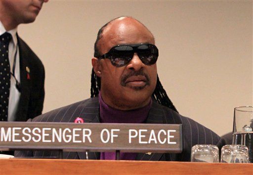 Stevie Wonder, a well-known singer and song writer who has a disability