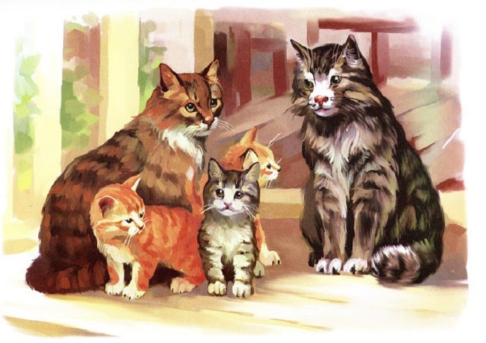 Коты и кошки картинки для детей, работе