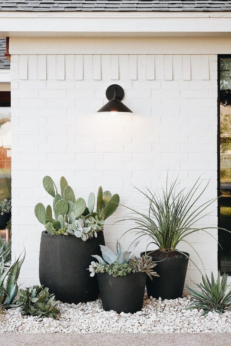 low maintenance landscaping in 2020 | Cheap landscaping ideas, Backyard