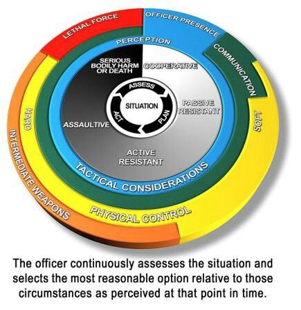 Use of force essay