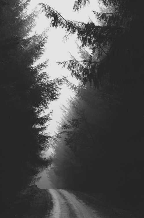 118 best Mobile Wallpapers images on Pinterest Wallpaper for phone, Wallpaper for mobile and ...