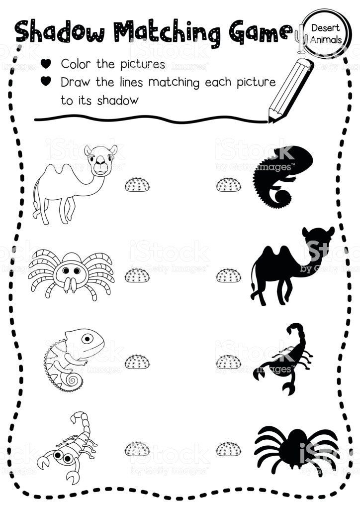 Download Desert Animal Coloring Pages Shadow Matching Game Desert Animal Coloring Page Version in 2020 ...