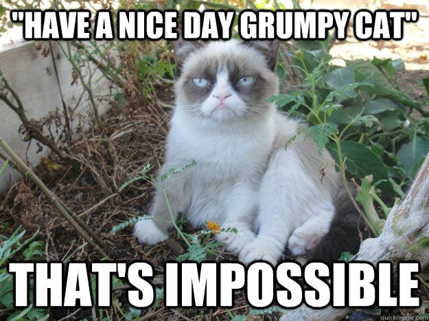 117 best grumpy cat images on pinterest grumpy kitty, grumpy cat 9edc6c5fa0c166d35894f10350acb9a0 grumpy cat meme grumpy kitty 117 best grumpy cat images on pinterest grumpy kitty, grumpy cat,Busier Than A Meme