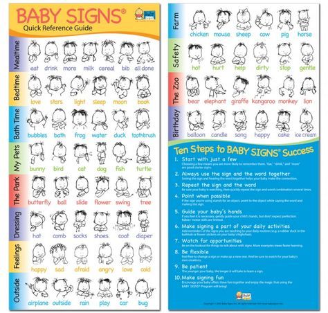 The 25+ best Baby development chart ideas on Pinterest Baby - baby development chart The 25+ best Baby development chart ideas on Pinterest Baby - baby development chart