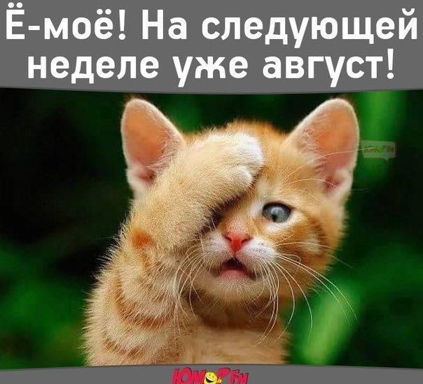 Открытки, картинки скоро август прикольные