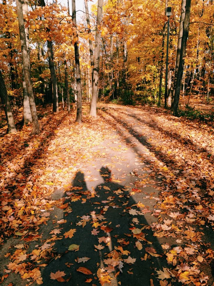 Fat face portland autumn leaf dress pictures Fat face portland autumn leaf dress pictures