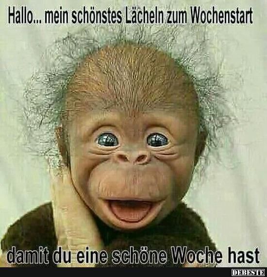 Hallo.. mein schönstes L...