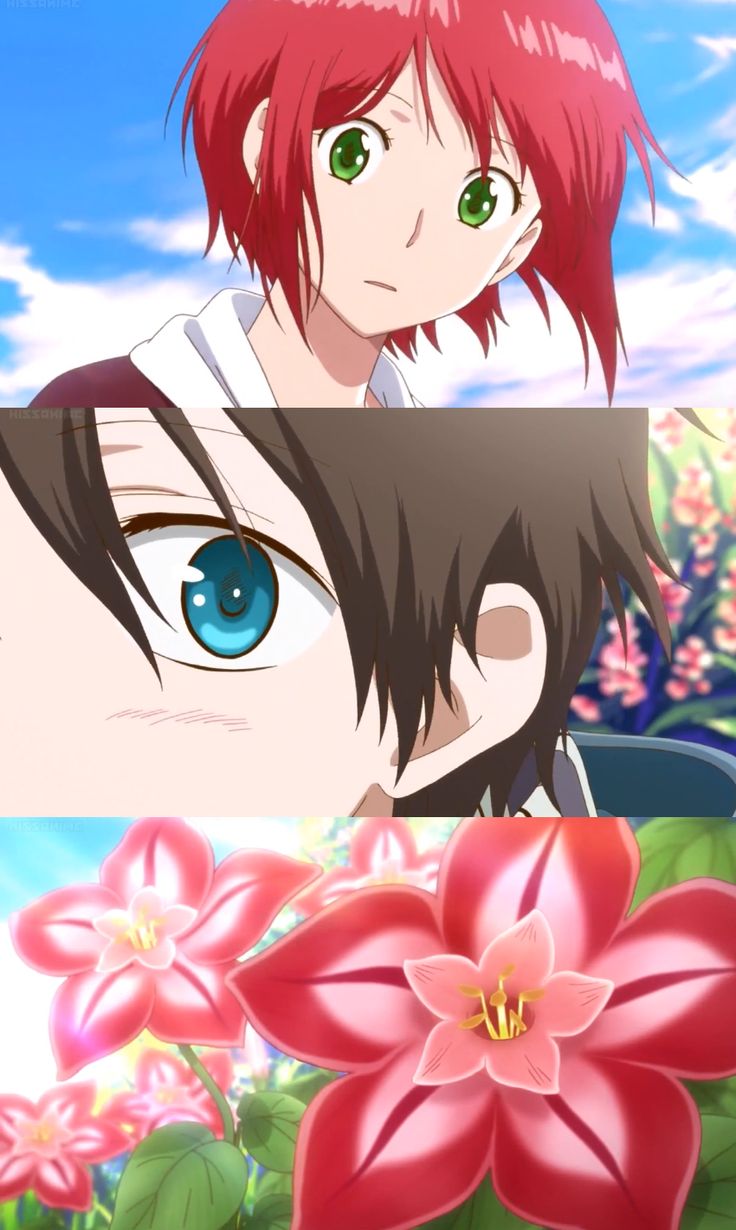 Snow White With Red Hair Shirayuki Akagami no Shirayuki-hime - Snow White with the Red Hair - Ryu and