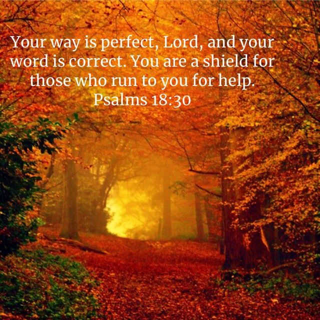Bible Verses About Trees Falling