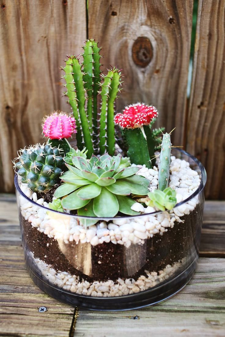 31 best making things grow images on pinterest | gardening, plants 31 best making things grow images on pinterest | gardening, plants