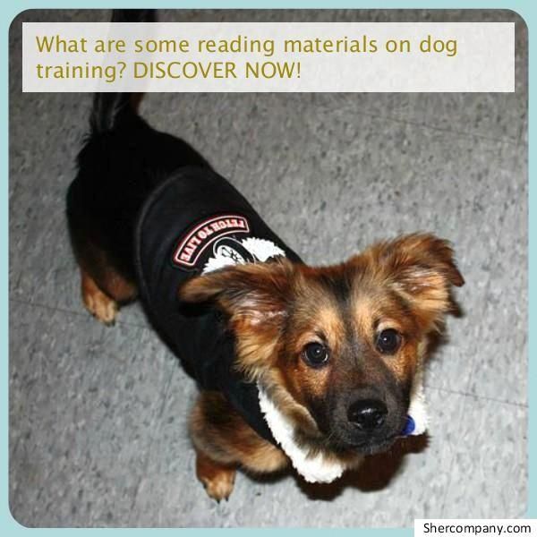 Newest Totally Free Dog Training Tools Dogtrainingtools Popular
