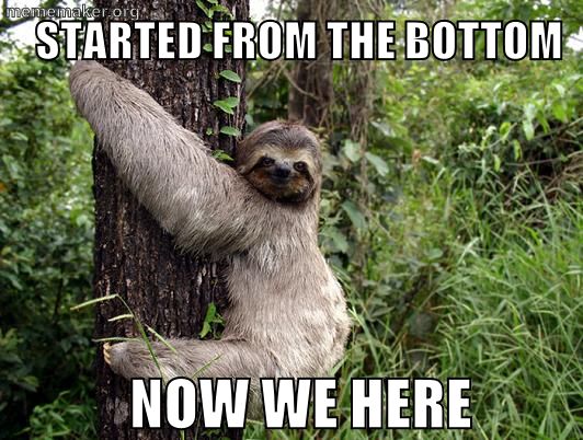 9 best sloth memes images on pinterest sloth, sloth memes and sloths 9f67ee82cefafd2d38c96ecc93b88b51 sloth memes funny memes 9 best sloth memes images on pinterest sloth, sloth memes and sloths