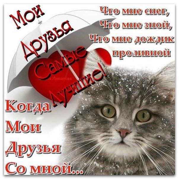 Картинки как хорошо что мы друзья, картинки для