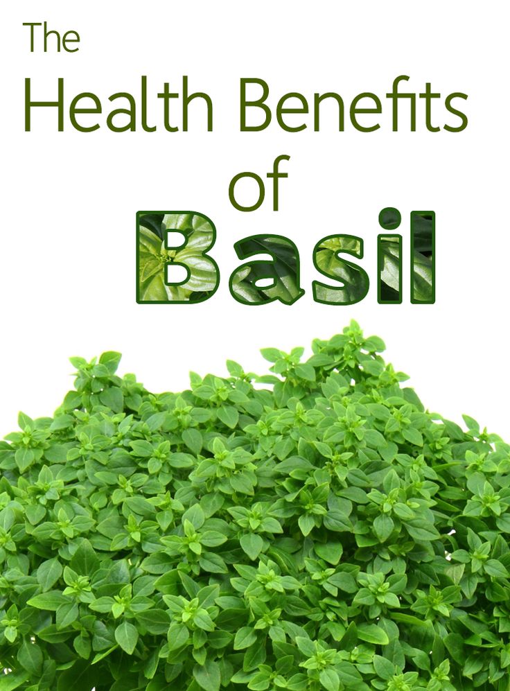 Holy Basil Helps Sleep