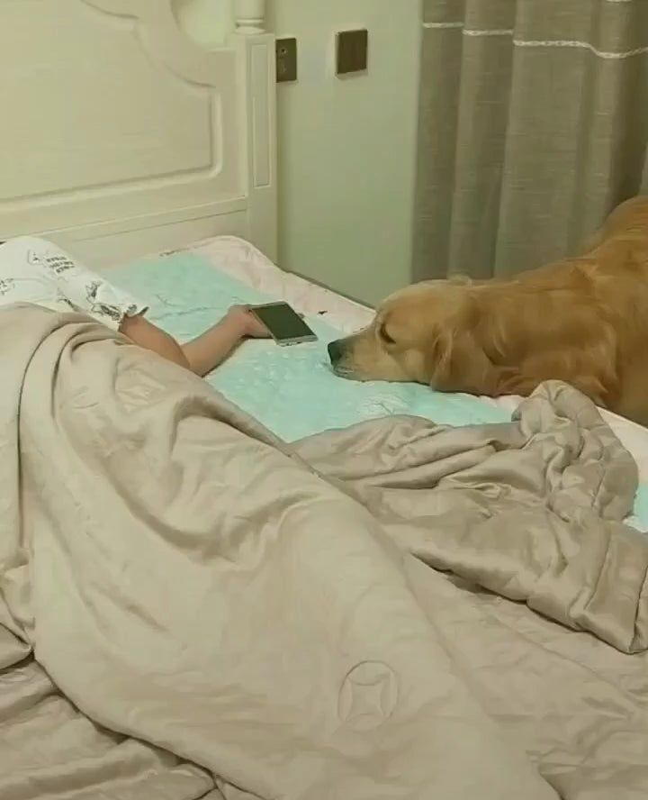 Good To Know My Boy Takes Care Of Me After I Fall Asleep