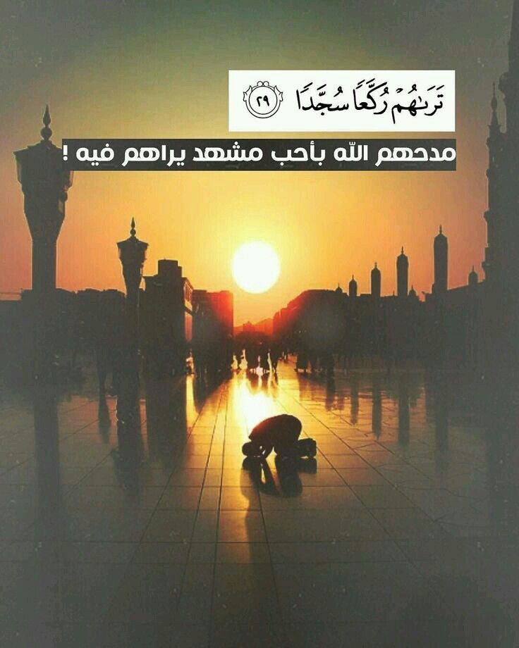 Pin By ميمي On آيه ومعنى Quran Book Islamic Quotes Quran Quran Verses