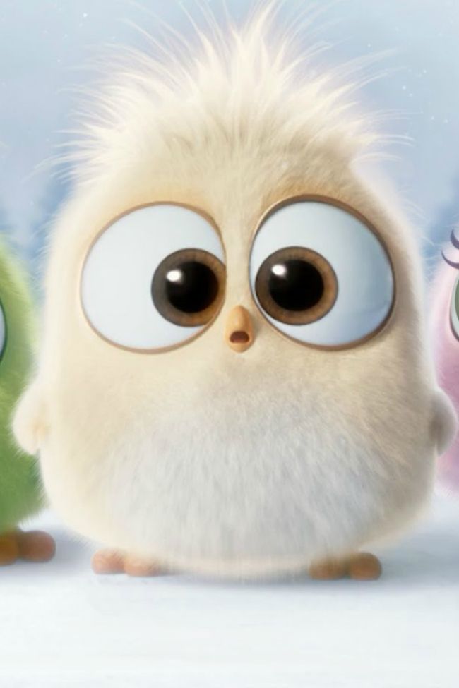 This Is Exactly Like Every Child S Holiday Recital Looks Like Cute Bunny Cartoon Cute Cartoon Pictures Cute Birds This Is Exactly Like Every Child S Holiday Recital Looks Like Cute Bunny Cartoon Cute Cartoon Pictures Cute Birds
