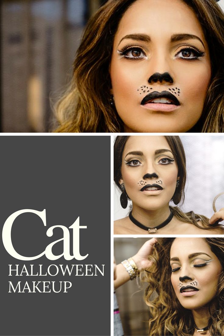Halloween Makeup Ideas Cat 507 best cool cat contacts and makeup images on pinterest cat Halloween Makeup Ideas Cat 507 best cool cat contacts and makeup images on pinterest cat
