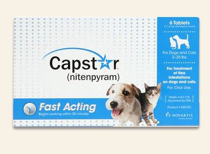 Best Flea Pill For Small Dogs Best Flea Pill For Small Dogs