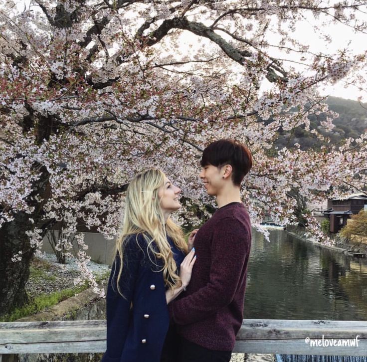 Cherry Blossoms Asian Hookup Already A Member Of Hulu Tv Cherry Blossoms Asian Hookup Already A Member Of Hulu Tv