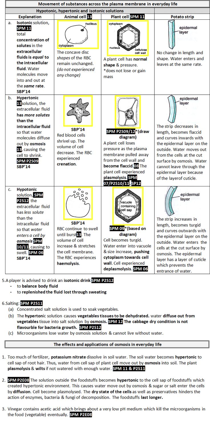 worksheet Hypertonic Hypotonic Isotonic Worksheet the 25 best isotonic hypotonic hypertonic ideas on pinterest rn biology comparison between and solution