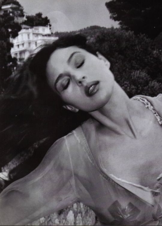 monica bellucci helmut newton 320 best monica bellucci from all sides images on monica bellucci helmut newton 320 best monica bellucci from all sides images on