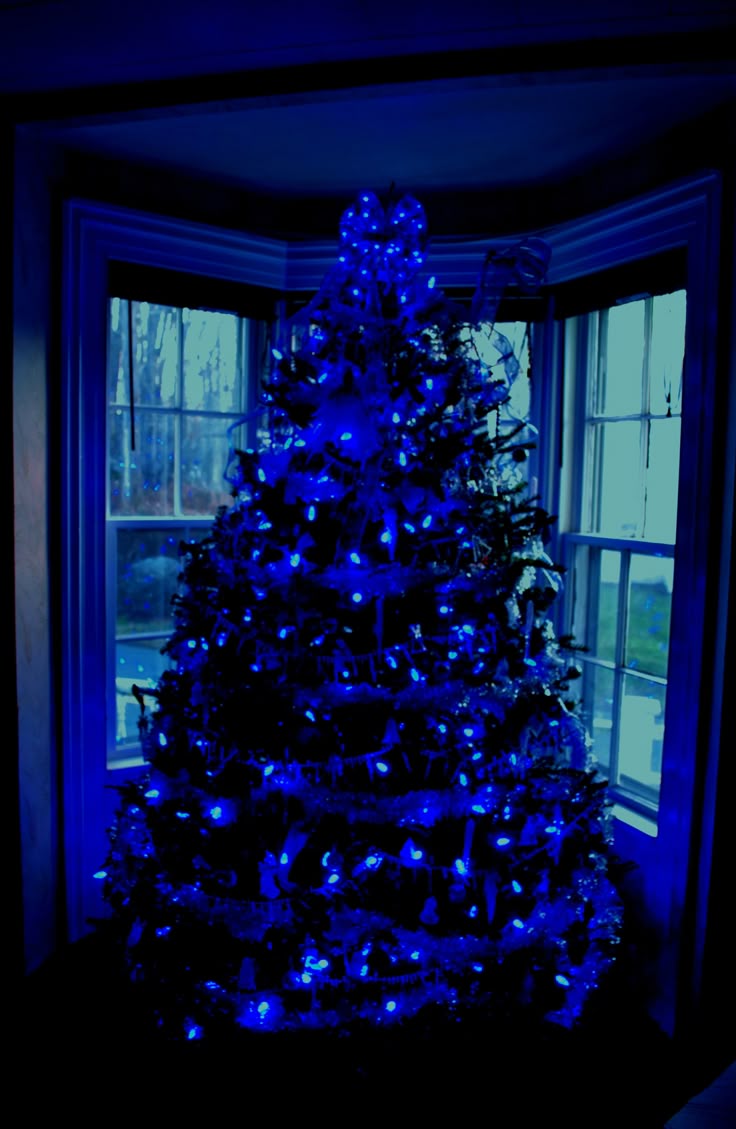 best 25 blue christmas lights ideas on pinterest blue best 25 blue christmas lights ideas on pinterest blue