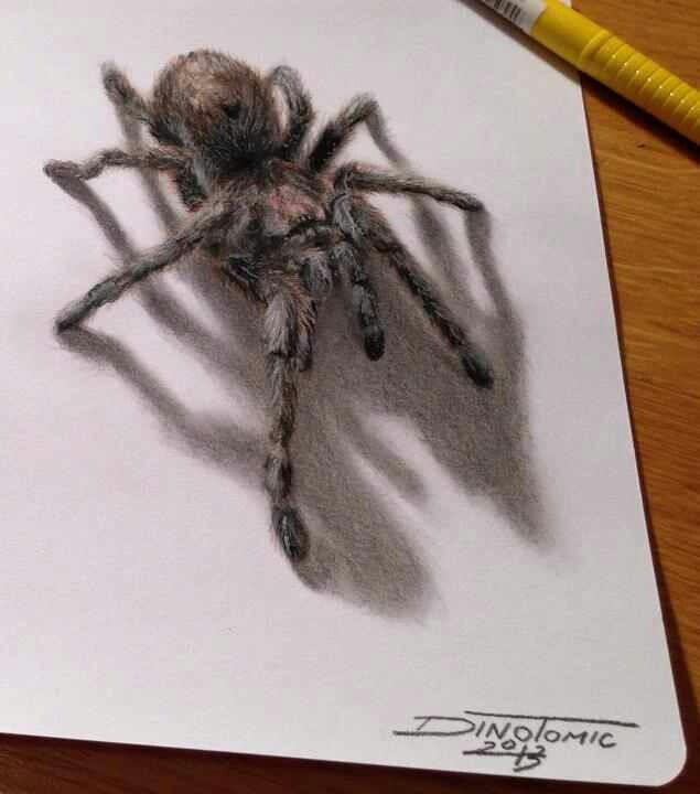 3 d drawings
