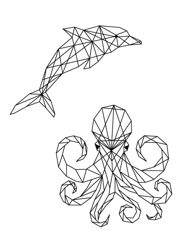 dessin en segment sur les animaux marin - Recherche Google | Geometric