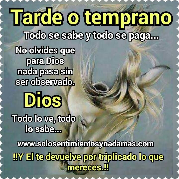 Pin En Frases De Vida