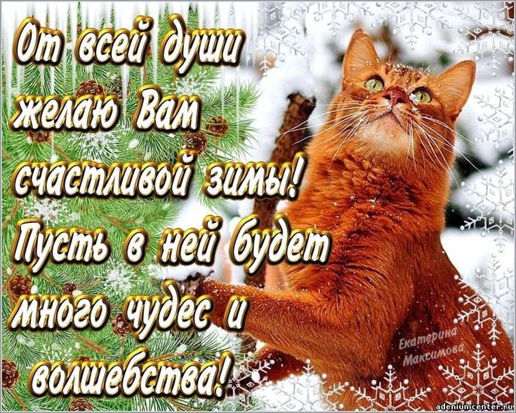 Гиф анимация, спасибо брат картинки зиму