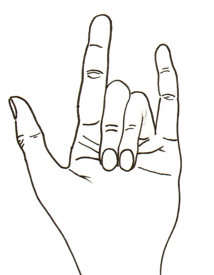 Simple Contour Line Drawing : Best contour line drawings images on pinterest