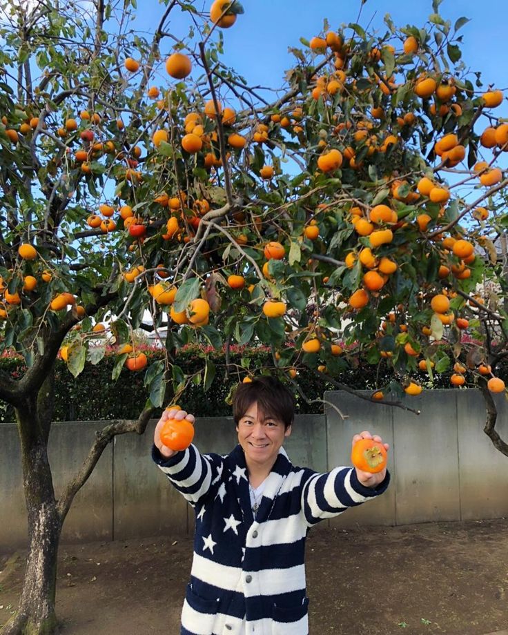 北島兄弟さんはinstagramを利用しています 今年も北島師匠の庭にたくさんの柿が実りました 甘くて美味しいんです 北山たけし 北島兄弟 演歌歌手 北島三郎 庭 果物 柿 収穫 秋 北島 柿 庭 北島兄弟さんはinstagramを利用しています 今年も北島師匠の庭にたくさんの柿が実りました 甘くて美味しいんです 北山たけし 北島兄弟 演歌歌手 北島三郎 庭 果物 柿 収穫 秋 北島 柿 庭