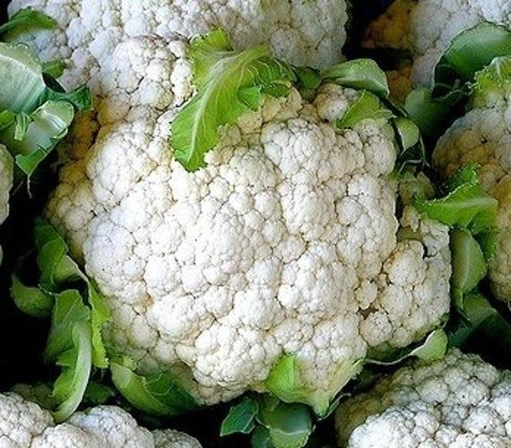 Cauliflower Seeds Snowball Self Blanching 200 Seeds Cabbage