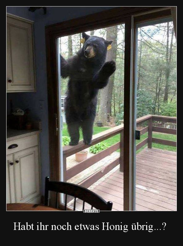 Ein Unerwarteter Besuch Für Die Lüste Ein Unerwarteter Besuch Für Die Lüste