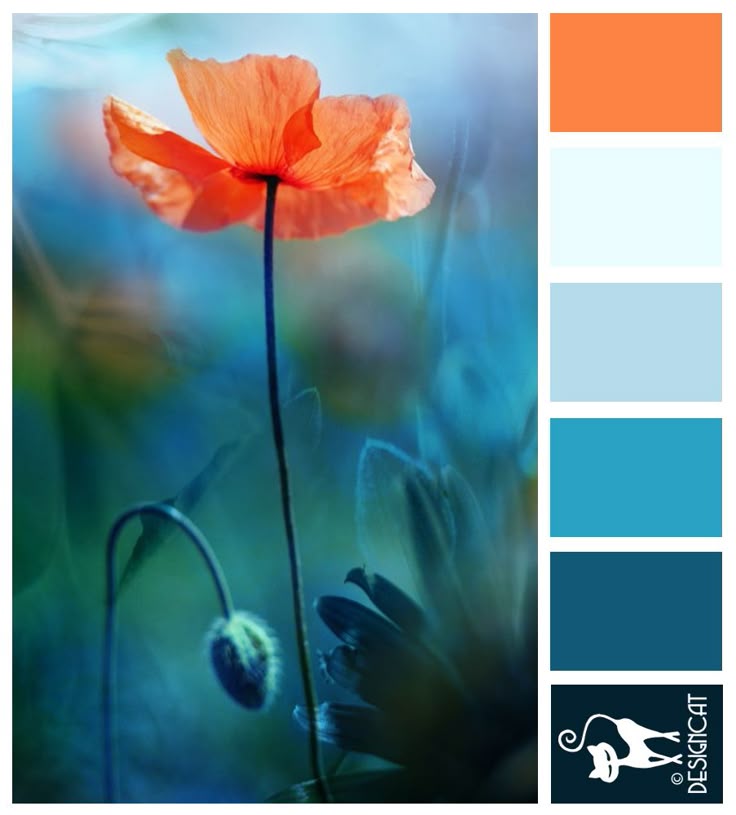 best 25+ orange color schemes ideas on pinterest | blue orange best 25+ orange color schemes ideas on pinterest | blue orange