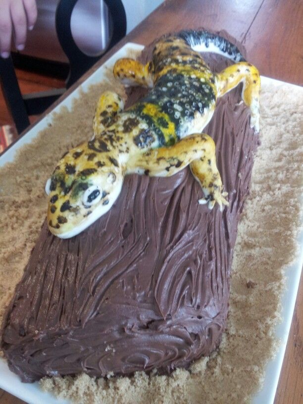 Leopard Gecko Birthday Cake Leopard Gecko Birthday Cake