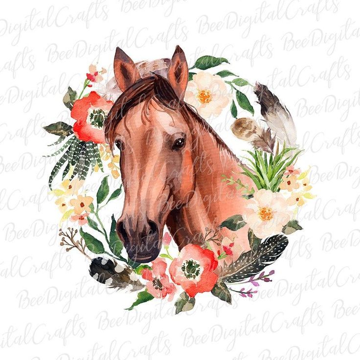 Floral horse PNG sublimation download Watercolor horse PNG t-shirt design