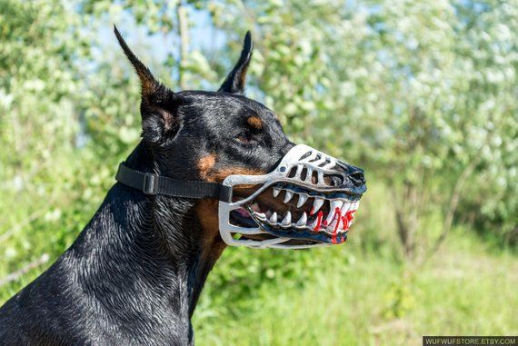 Werewolf Zombie Dogs Muzzle White Color Doberman And Other