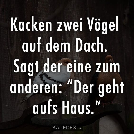 Kacken lustig witzig Bild Bilder Spruch Sprüche Kram. 2 Vögel kacken