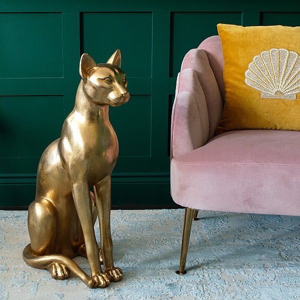 Large Golden Sphynx Cat in 2020 Large Golden Sphynx Cat | Audenza
