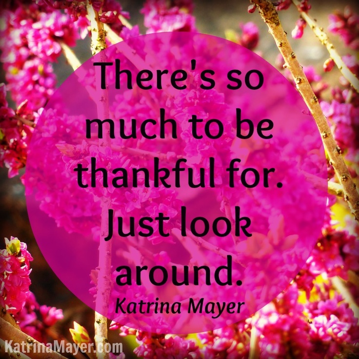 176 best Give Thanks with a grateful heart images on Pinterest