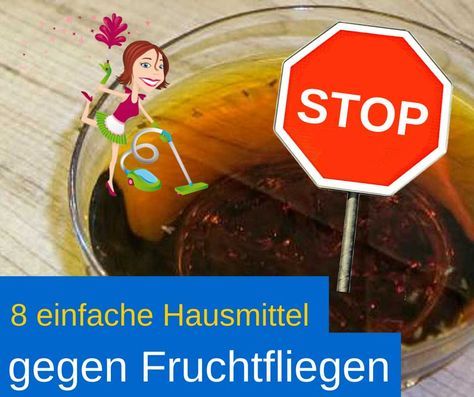 Die besten 25+ Hausmittel gegen fruchtfliegen Ideen auf Pinterest - hausmittel gegen ameisen in der küche Die besten 25+ Hausmittel gegen fruchtfliegen Ideen auf Pinterest - hausmittel gegen ameisen in der küche