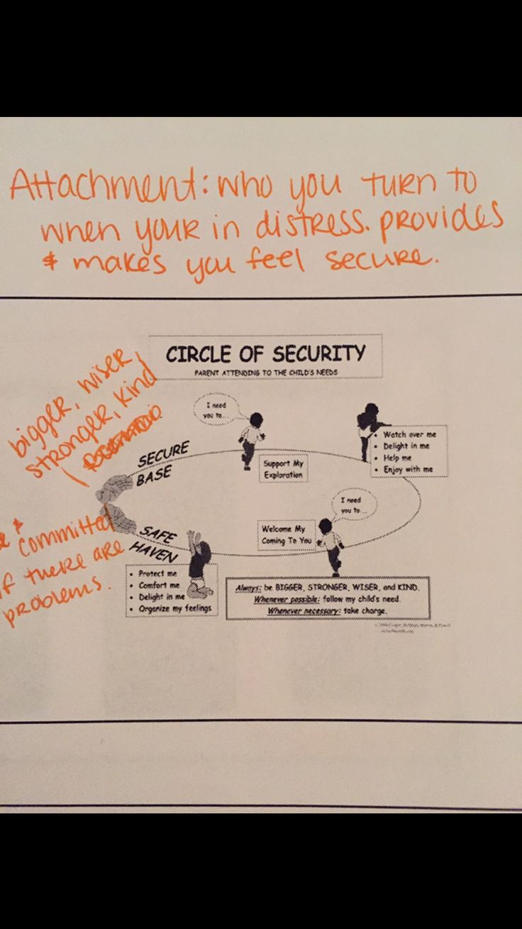 19 Best Cos Circle Of Security Images On Pinterest