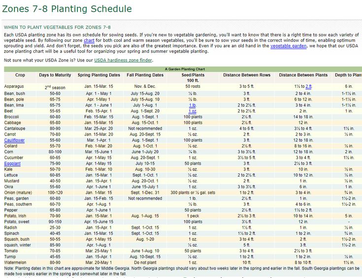 Zones 7 8 Planting Schedule Garden Plants Vegetable Zone Fall Vegetables Zones 7 8 Planting Schedule Garden, When To Plant Fall Garden Zone 7