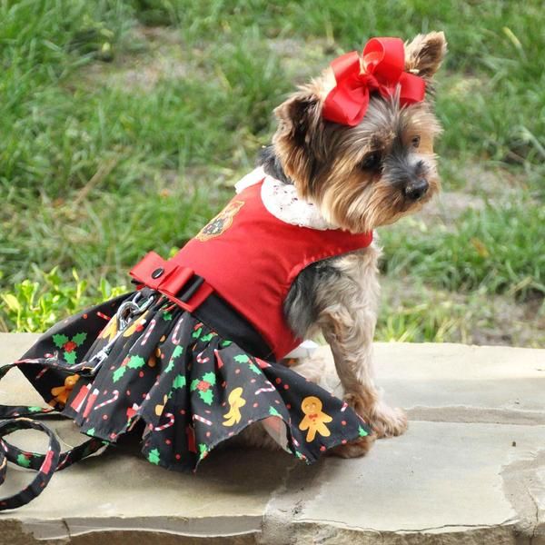 Pin By Incredible Pooches On Https Incrediblepooches Com Dog
