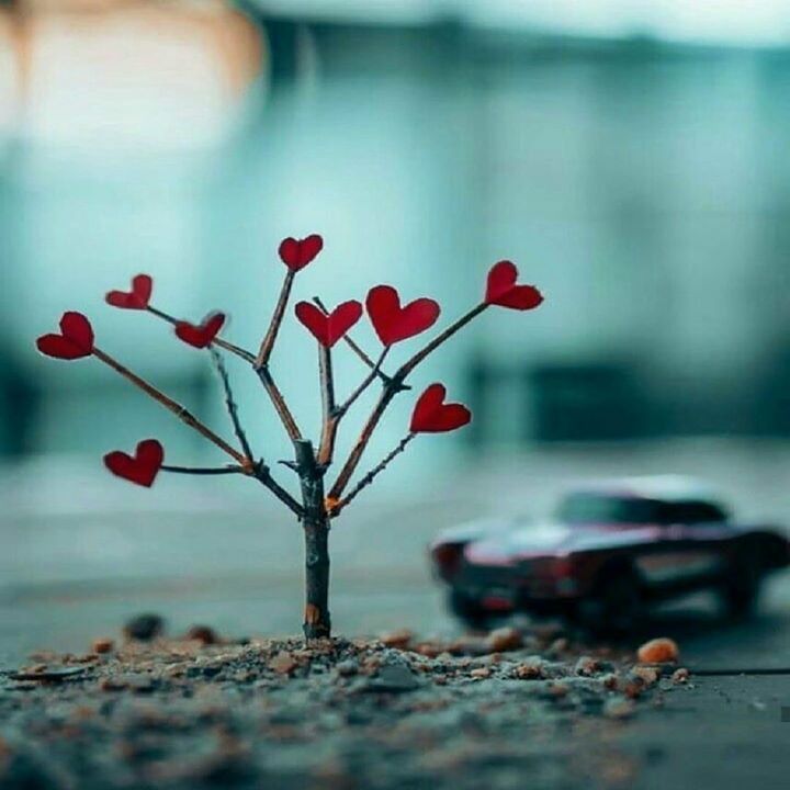 صور سكرابز قلوب جديده وحصريه صور قلوب للتصميم 2018 أحدث صور قلوب للتصميم Heart Shapes Love Valentines Valentine