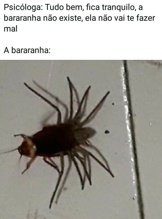 Voi pierde meme