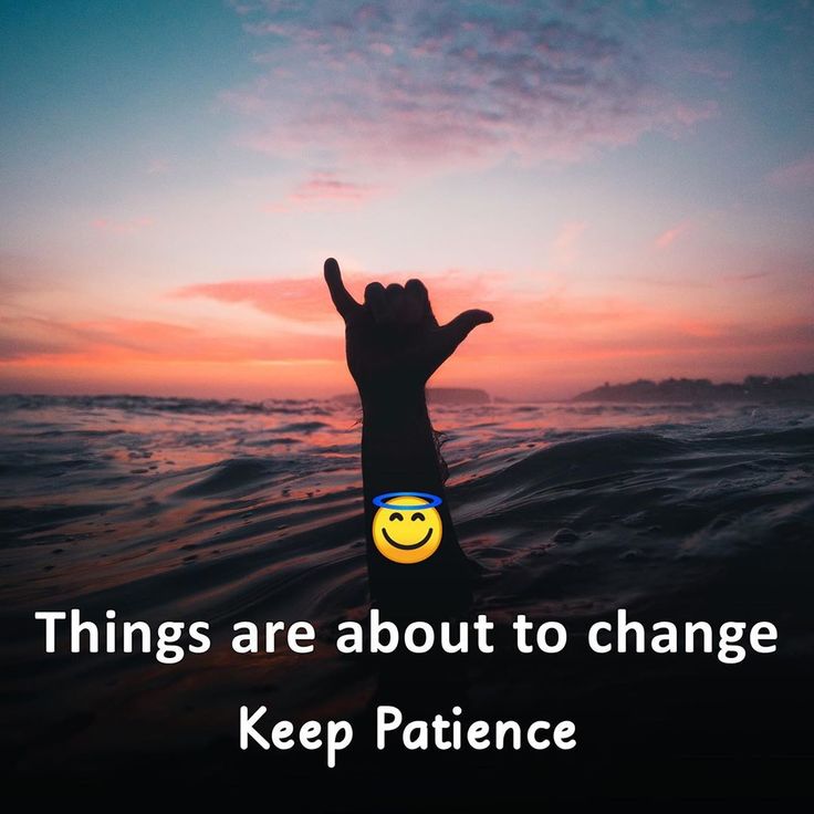 Pin by Just on funny new jokes Funny joke quote